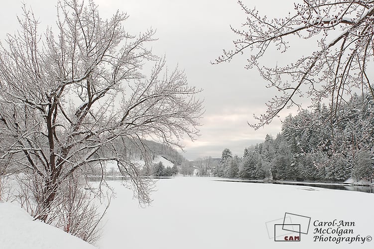 92 - En face d'Alcove / Across from Alcove - www.camphoto.ca