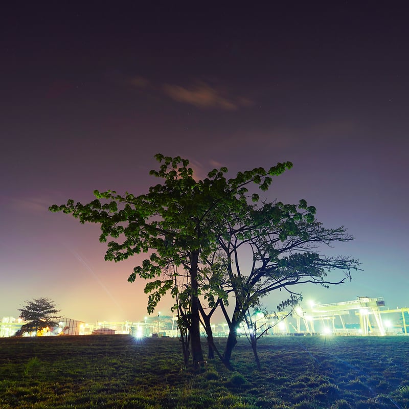 Overview - Daniel Chia Photography