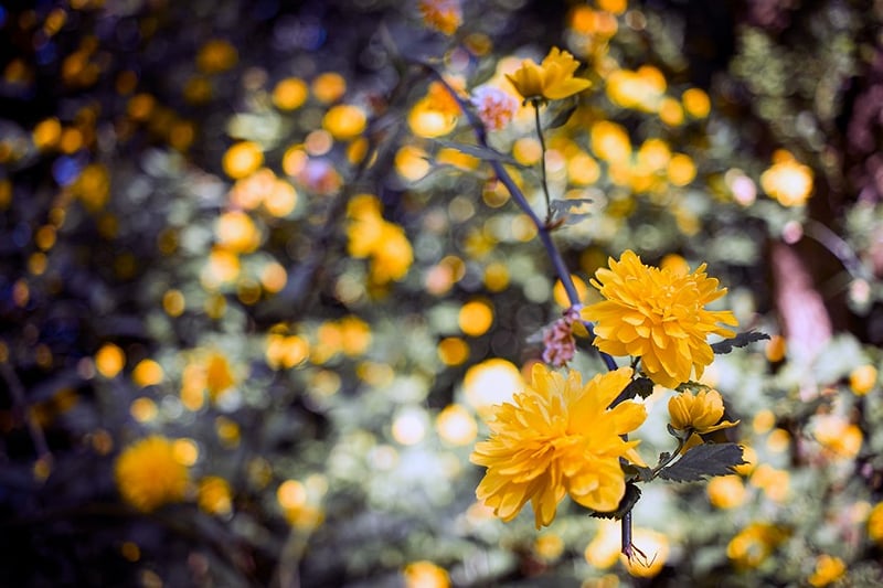 We Come From The Stars - Darren Filkins Photographer