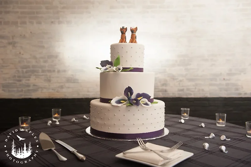 The Bond - David Naples Photography | Lancaster, Reading, Harrisburg, Philadelphia, Allentown Wedding Photographer