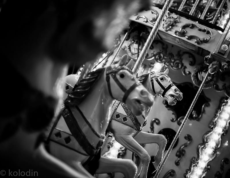 Carousel Horses - dGkPhotography