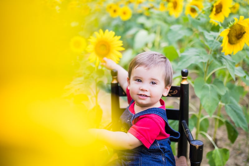 Max - Diana Sterie Photography