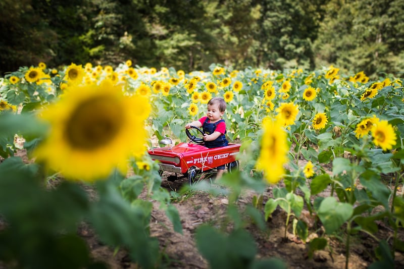 Family - Diana Sterie Photography