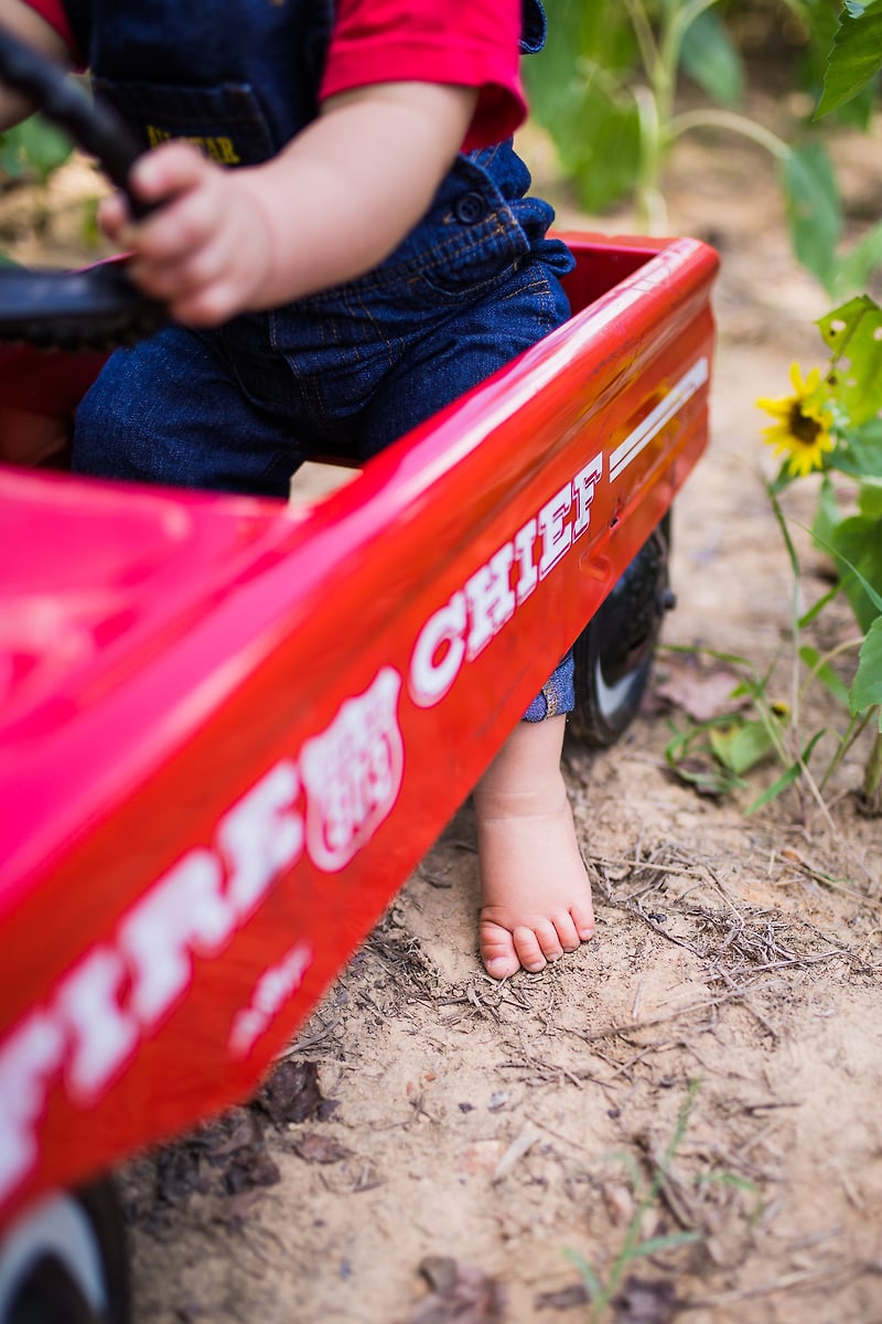 Family - Diana Sterie Photography