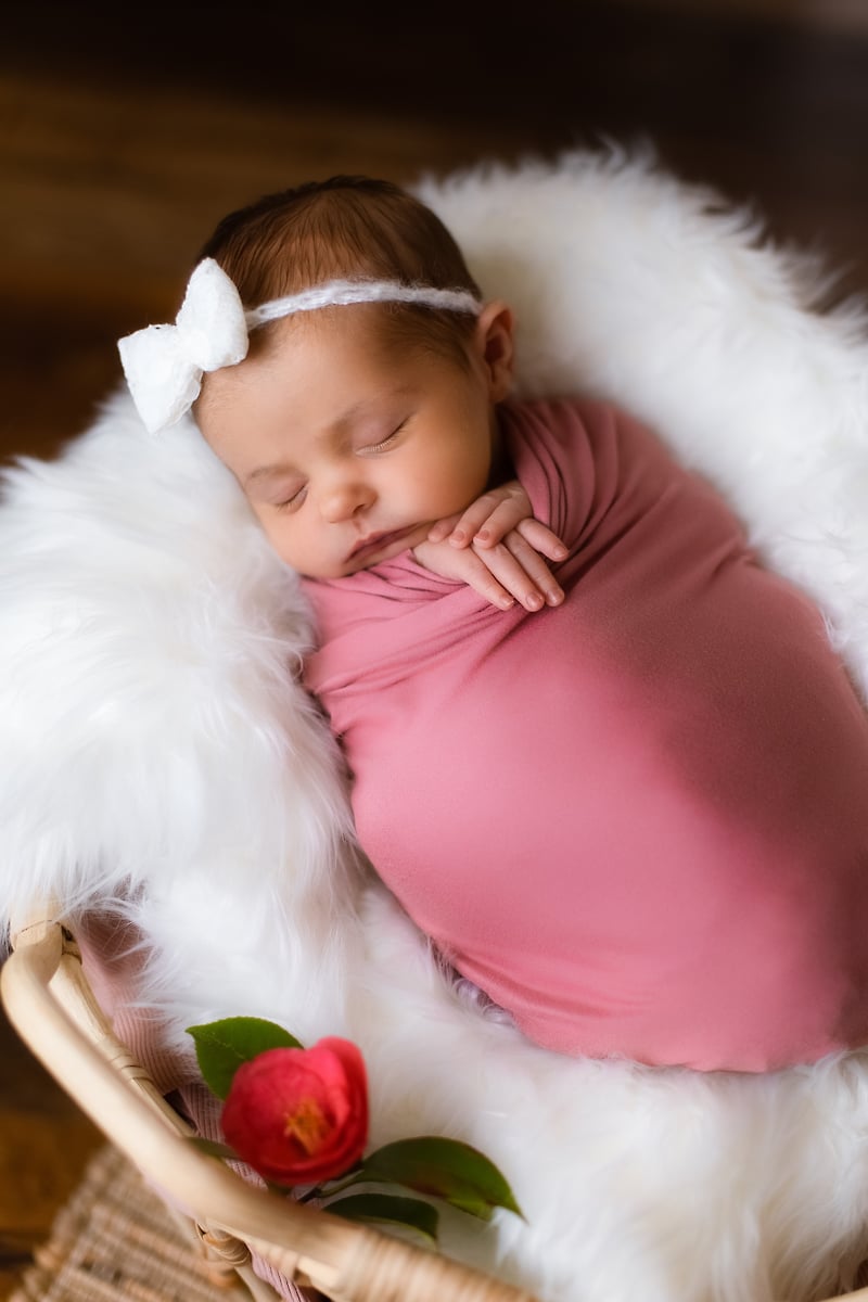 Family - Diana Sterie Photography