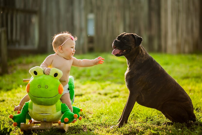 Family - Diana Sterie Photography