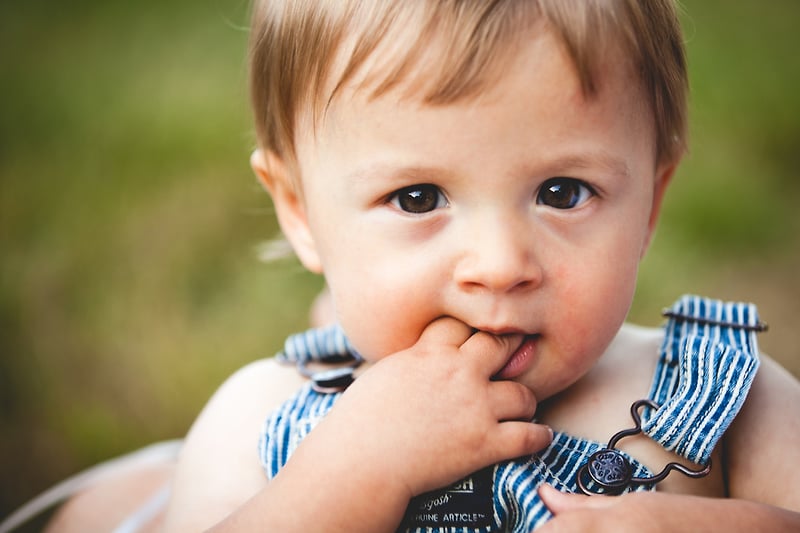 Family - Diana Sterie Photography