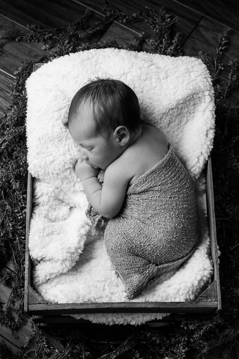 Family - Diana Sterie Photography