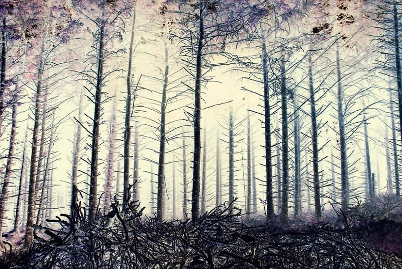 Insomnia - E l e n a  G a l l o t t a . c o m