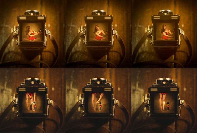 Six Frames - E l e n a  G a l l o t t a . c o m