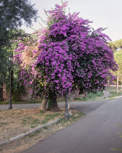 Punto Zero Monti - Flavia Rossi - photography