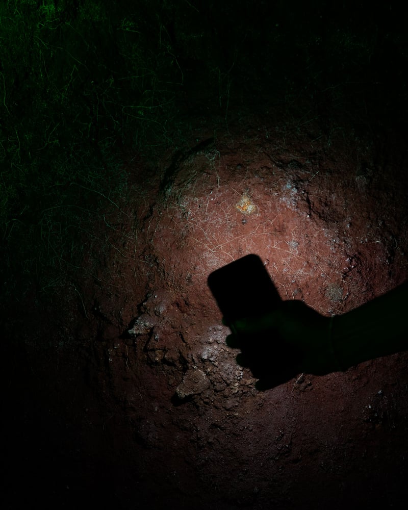 Its Hub Greg Jager - Flavia Rossi - photography