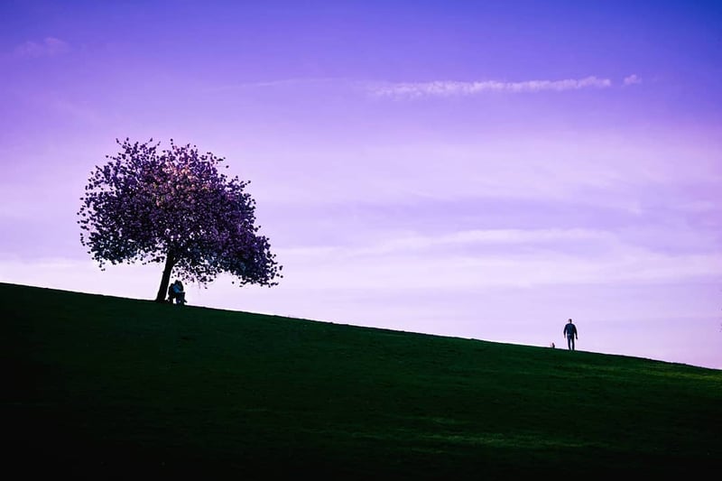Spring - Francis Peppett Photography