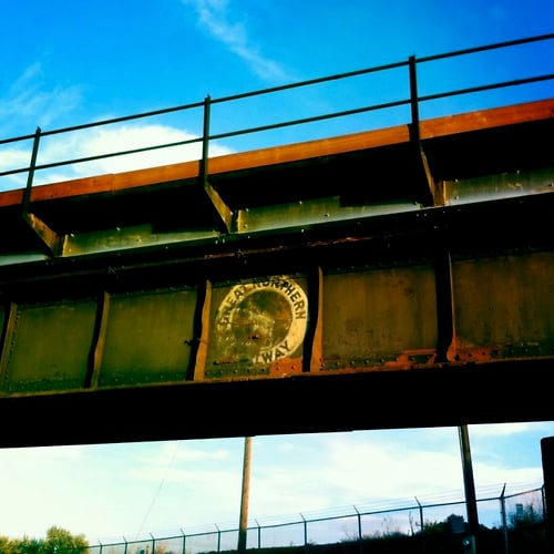 Old Goat - G R Gardner Photography