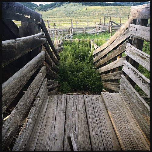Loading Chute - G R Gardner Photography