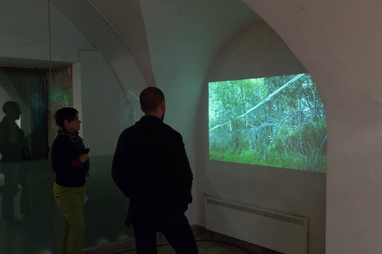 Martin Reiche 2016 - GuestRoomMaribor