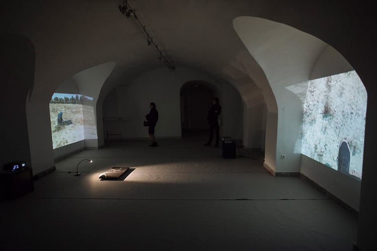 Elham Rahmati 2017 - GuestRoomMaribor