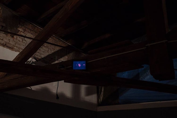 Alexandra Nemaric Eng - GuestRoomMaribor