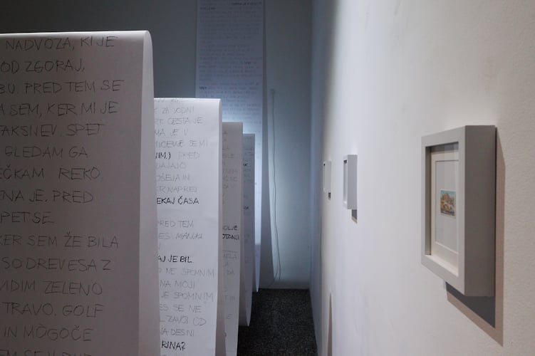 Lene Lekse Lucija Klauz Danilo Milovanovic - GuestRoomMaribor