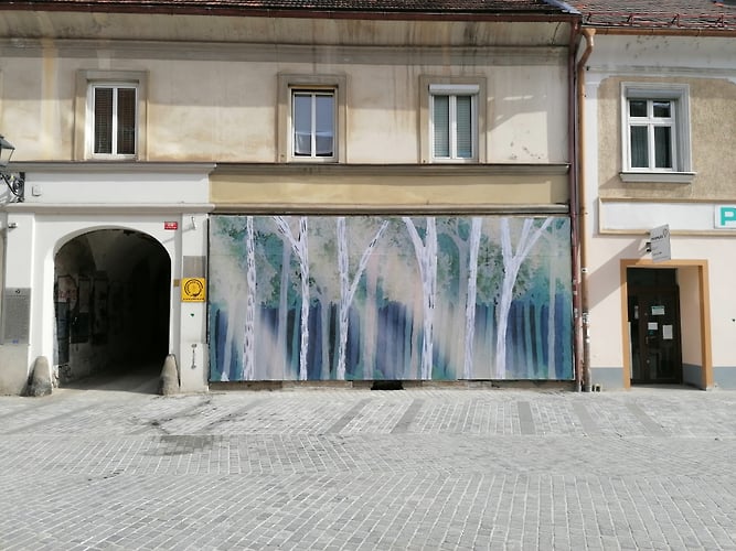 Kaj Pocnejo Volk Medved In Ris Ko Mislijo Da Jih Nihce Ne Gleda - GuestRoomMaribor
