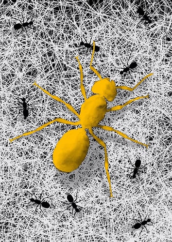 Leon Vidmar: serija Hierarhije - GuestRoomMaribor