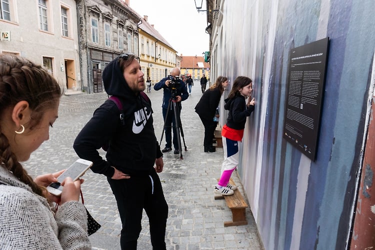 Kaj Pocnejo Volk Medved In Ris Ko Mislijo Da Jih Nihce Ne Gleda - GuestRoomMaribor