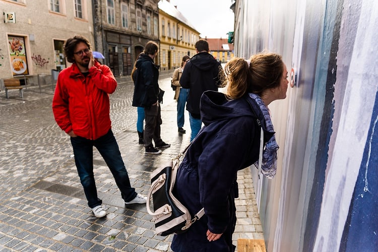 Kaj Pocnejo Volk Medved In Ris Ko Mislijo Da Jih Nihce Ne Gleda - GuestRoomMaribor