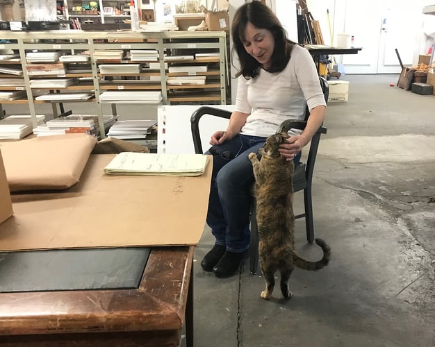 Investigative journalist Jane Mayer is, in turn, investigated by Corduroy. - CHARLIE HUNTER hunter-studio