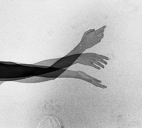 Contact - IRENE ZOTTOLA