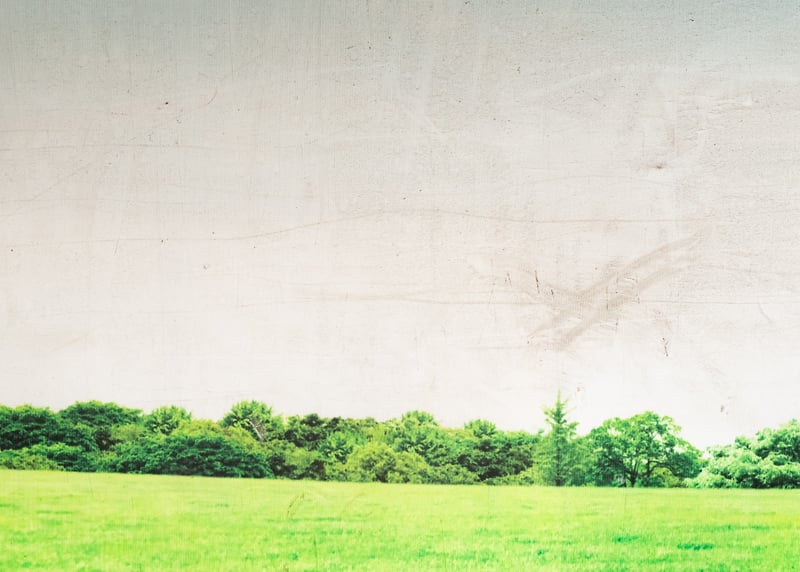 Untitled Landscape I - JANI ZUBKOVS