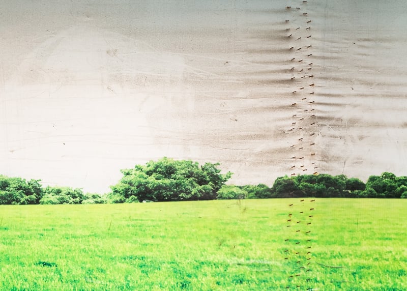 Untitled Landscape I - JANI ZUBKOVS