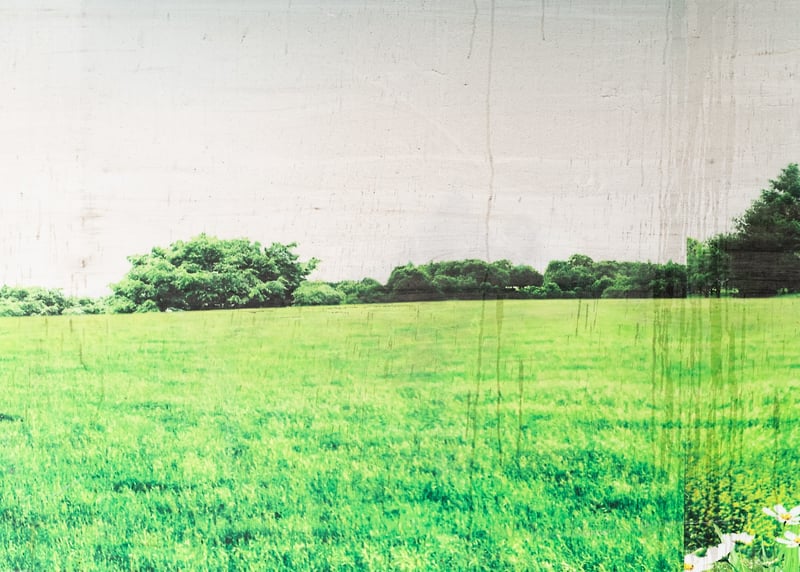Untitled Landscape I - JANI ZUBKOVS