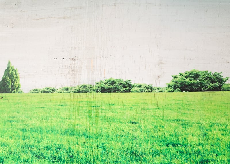 Untitled Landscape I - JANI ZUBKOVS