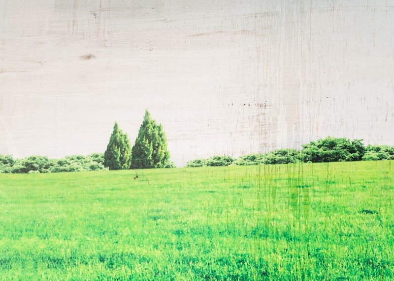 Untitled Landscape I - JANI ZUBKOVS