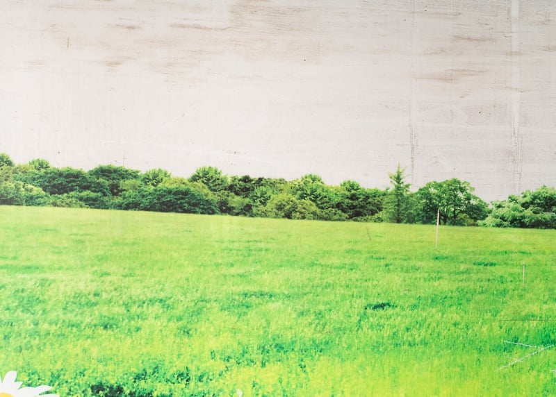 Untitled Landscape I - JANI ZUBKOVS