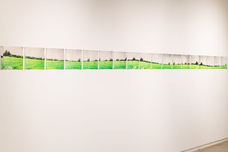 Untitled Landscape I - JANI ZUBKOVS