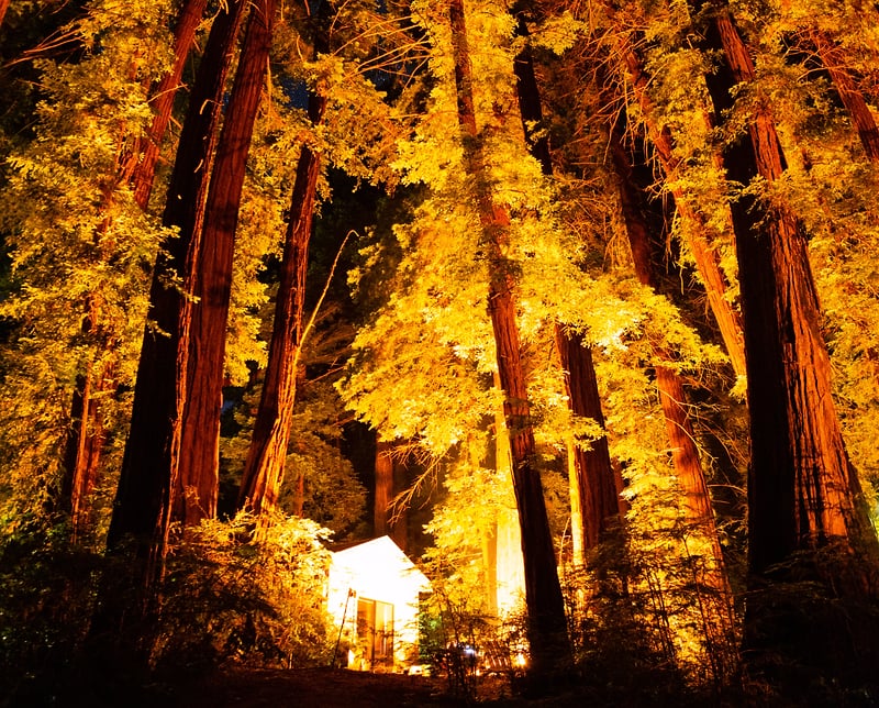 Places - Jason Campbell