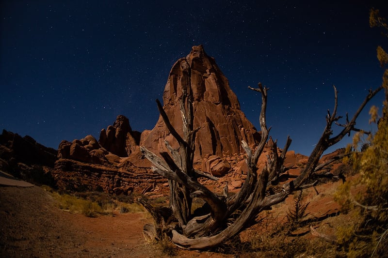 Utah - Jason Campbell