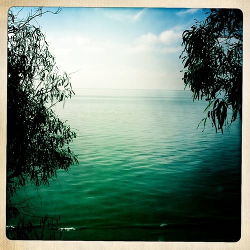 Pacific - Jeanine Brandi Photography