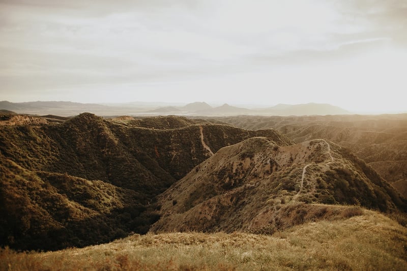 Quigley X For Love And Lemons Los Angeles Ca - Jordan Voth | Portrait & Lifestyle Photographer