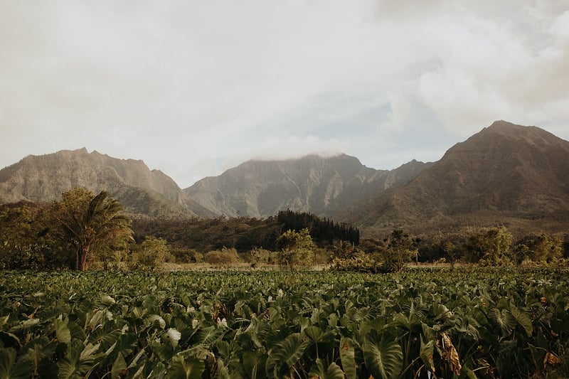 Hutton Kenna Kauai Hi - Jordan Voth | Portrait & Lifestyle Photographer