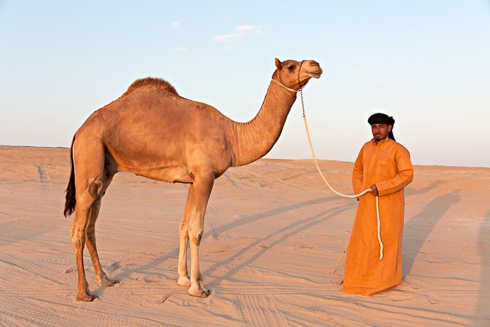 The Bedhouin, Abu Dhabi, UAE - Kirk Marshall Photography