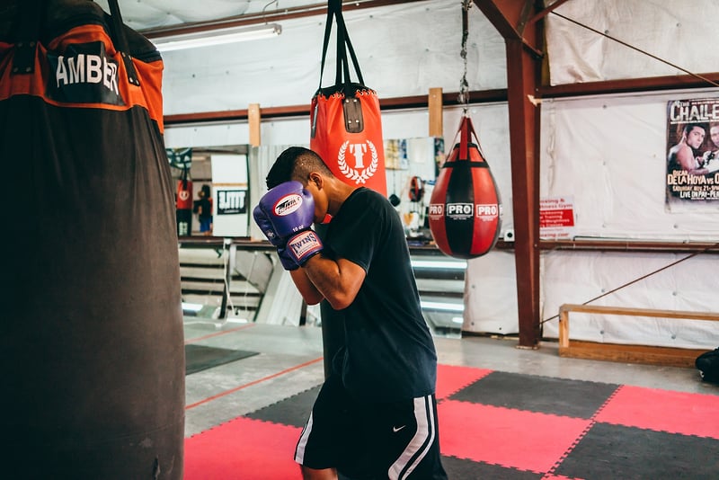 Commissions - Lauren Marek