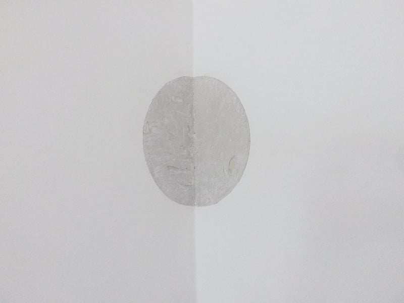 Two Suns - Manoela Medeiros