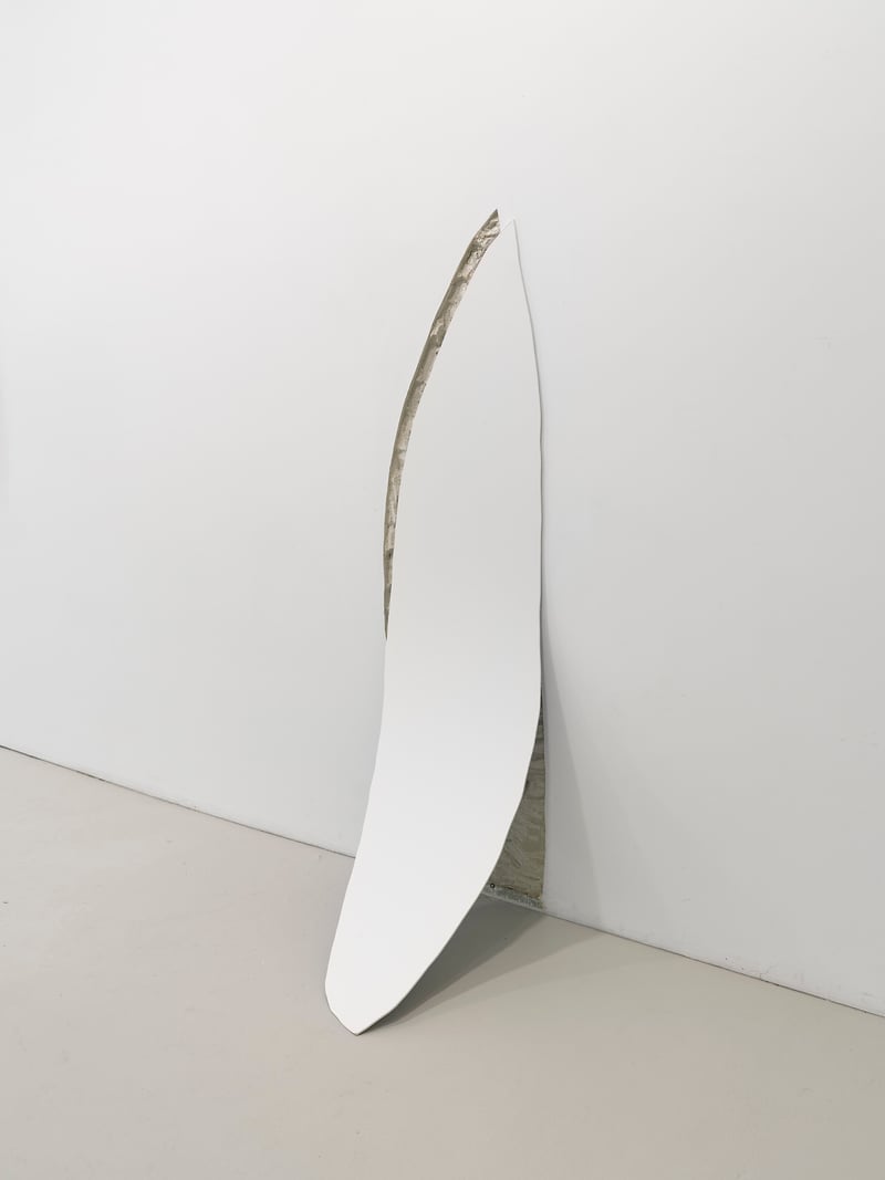 Selected Works - Manoela Medeiros