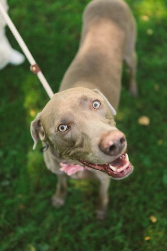 Claire Jim - Mara LeBlanc