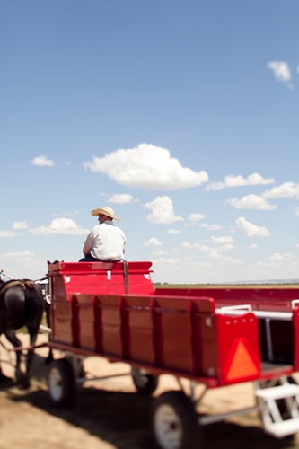 Grayce Ben - Mara LeBlanc