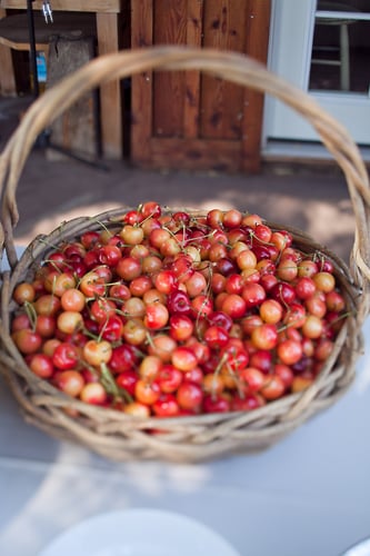 Grayce Ben - Mara LeBlanc