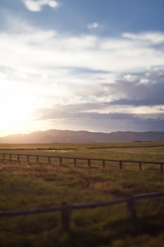 Grayce Ben - Mara LeBlanc