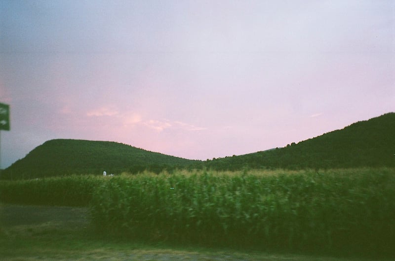 middleburgh - Margaret Murphy Photography